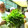 Video: Seabourn Experience: Shopping with the Chef at the Saigon Market