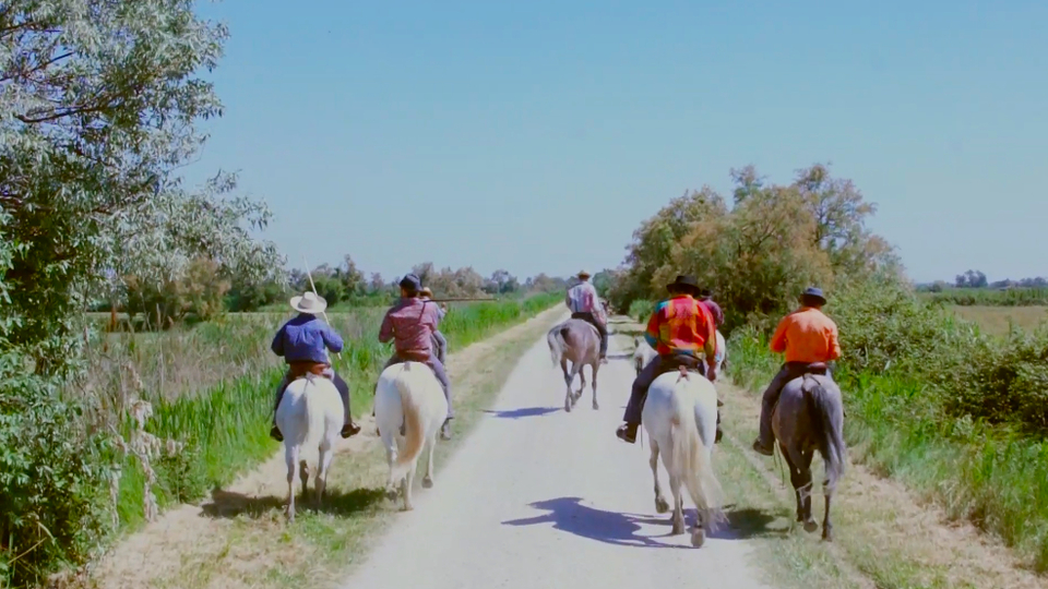 Video: Meet a Cowboy... in France