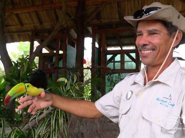 Video: Eco-Friendly: Meet this Cruise Line Private Island's In-House Naturalist