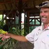 Video: Eco-Friendly: Meet this Cruise Line Private Island's In-House Naturalist