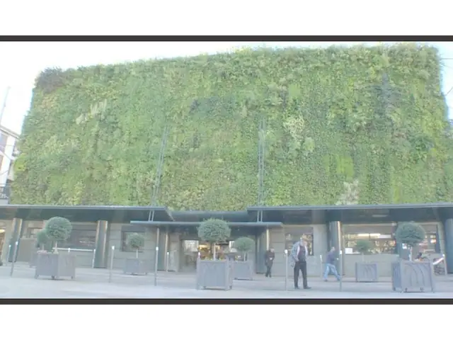 Video: Meet the Crazy 'Chicken Man' of the Avignon Market