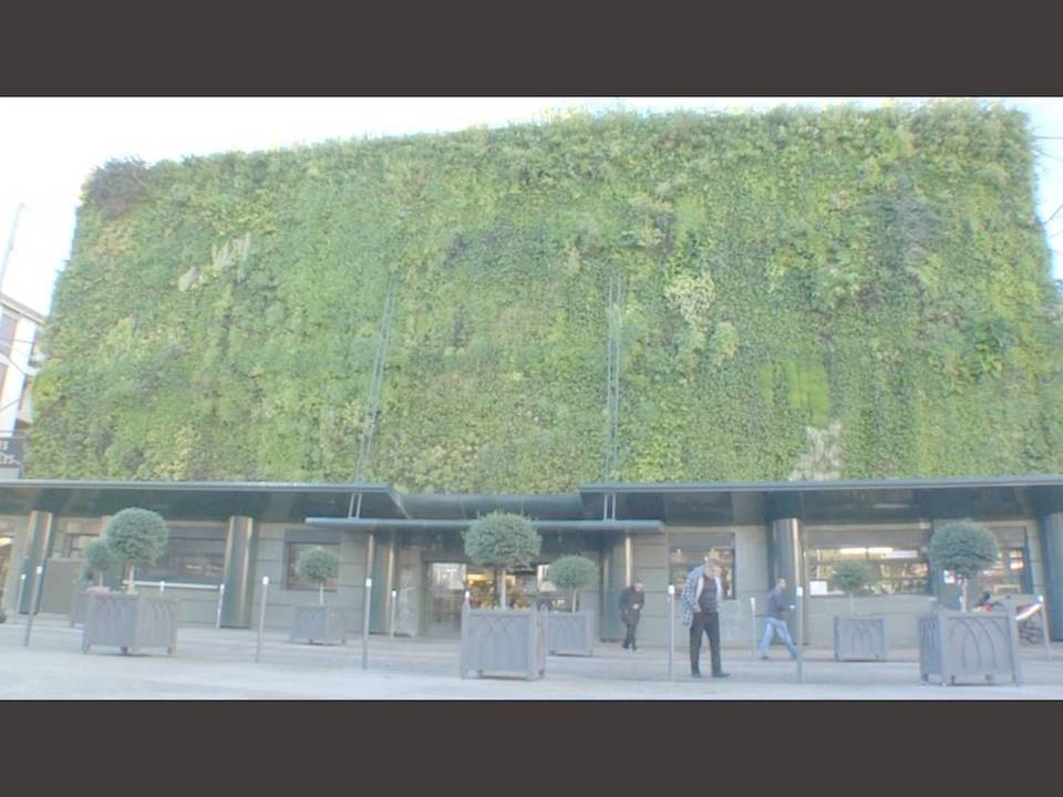 Meet the Crazy 'Chicken Man' of the Avignon Market