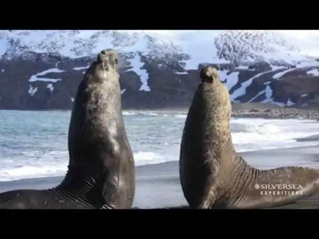 Silversea New Photography Academy in Antarctica