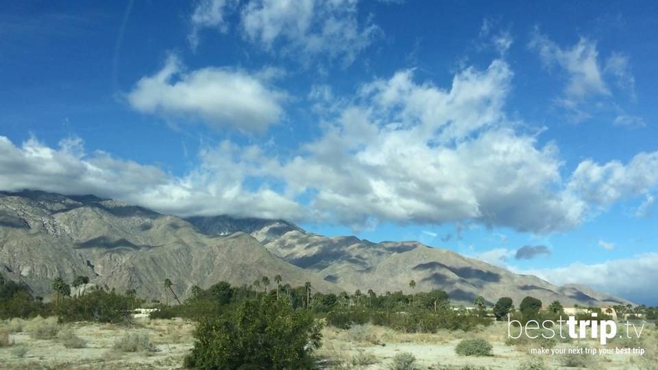 You Can't Miss: California Cool in Palm Springs