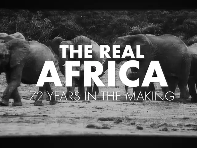 The Real Africa: 72 Years In The Making
