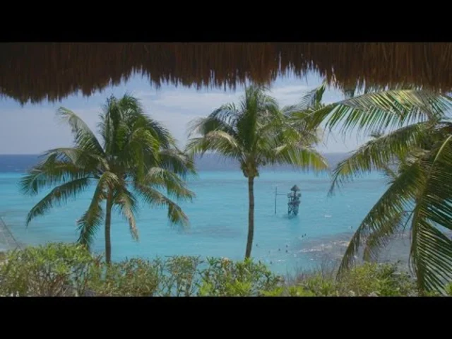 Sí, Mexico. See it again, or for the very first time.
