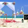 Do Destination Weddings really cost less then Traditional Weddings?
