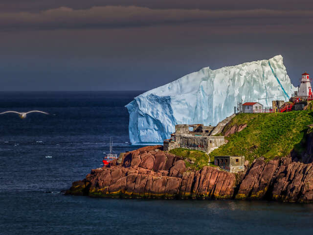 What's Happening at The Travel Store These Days?