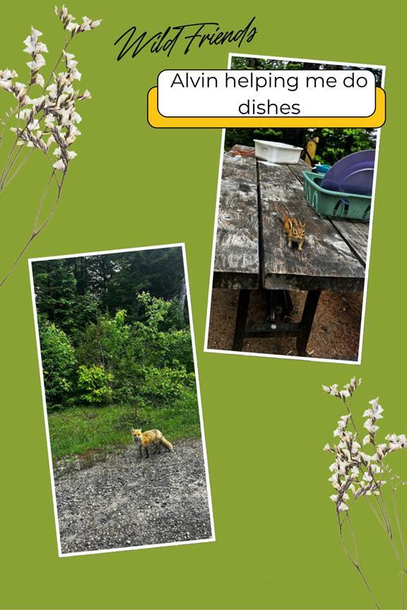 A collage of animals on a table