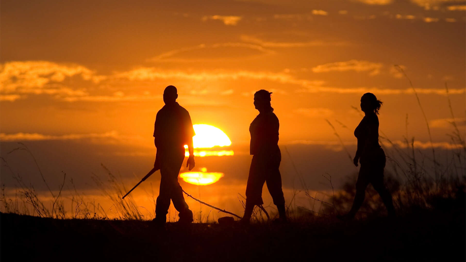 Great-Plains-Selinda-Camp-walking-safari-experience.jpg