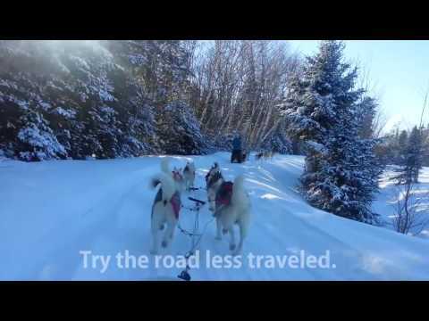 The Road Less Traveled