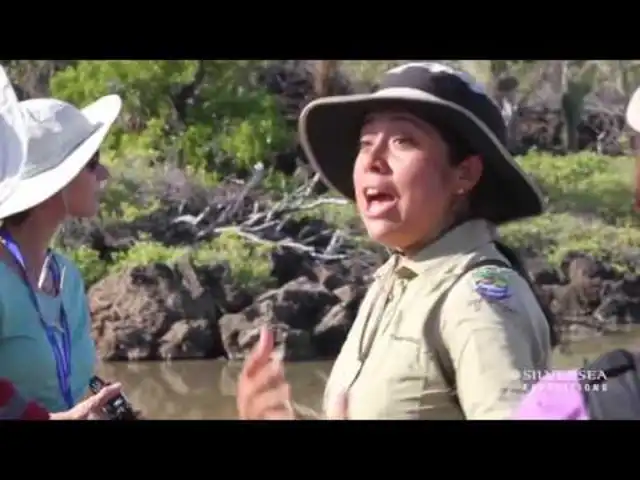 10 Reasons Why You Should Consider an Expedition Voyage