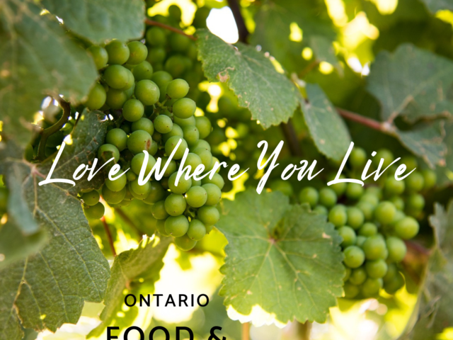 Love Where You Live - Ontario Food and Place to Eat Vlog Style