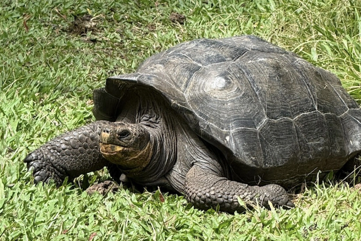 Galápagos FAM Trip: An Adventure of a Lifetime