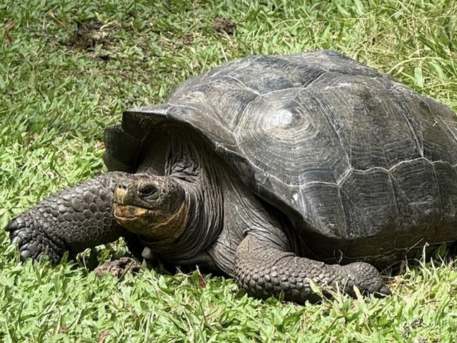 Galápagos FAM Trip: An Adventure of a Lifetime