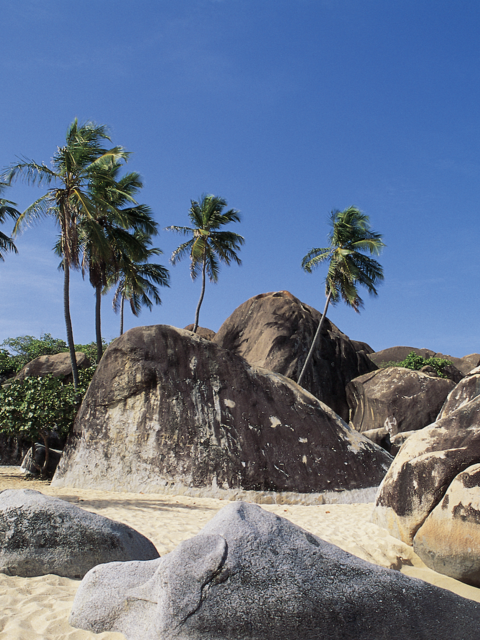 Explore Natural Wonders in the Caribbean