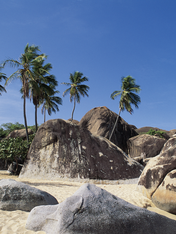 Explore Natural Wonders in the Caribbean