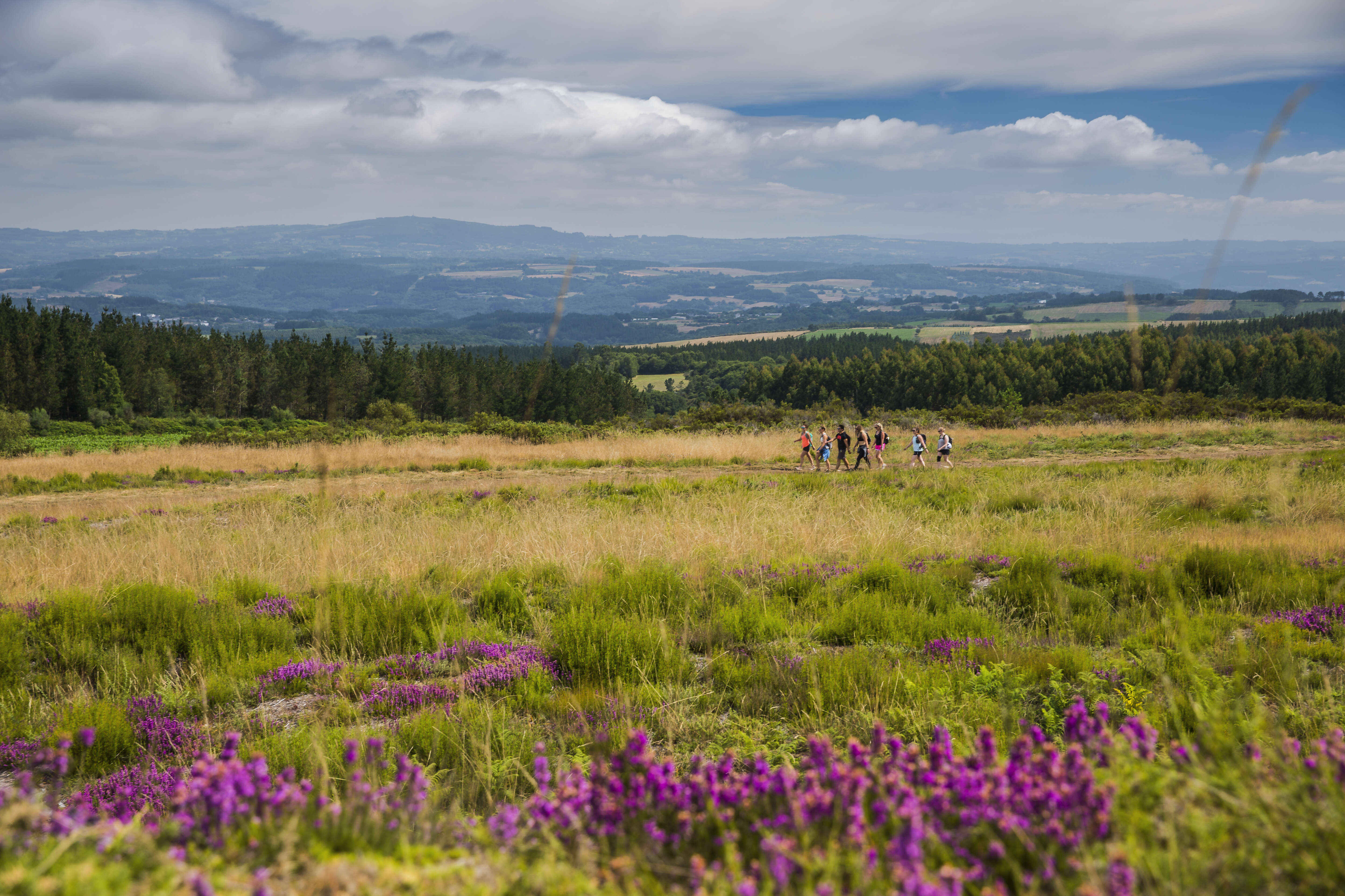 Looking for travellers who are up for a challenge!