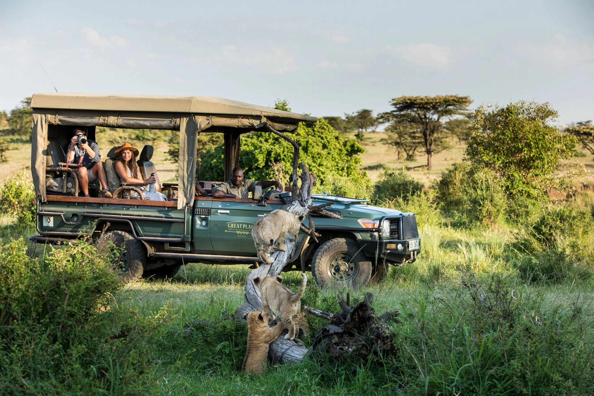 12Great-Plains-Mara-Plains-Camp-lion-cubs-on-safari.jpg