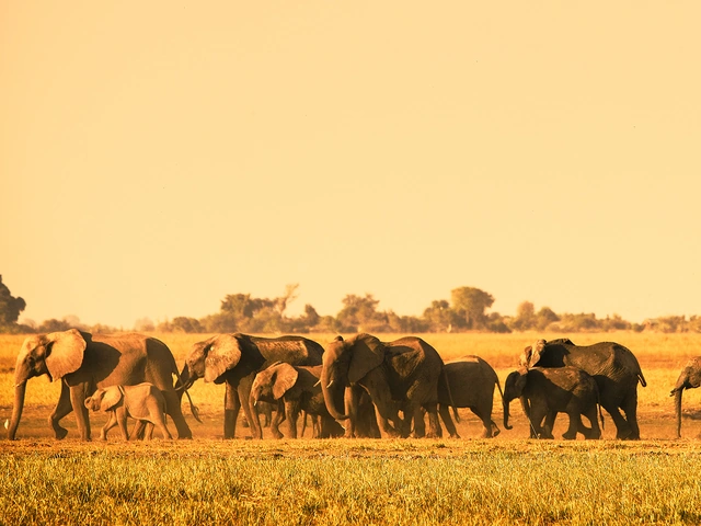 Botswana
