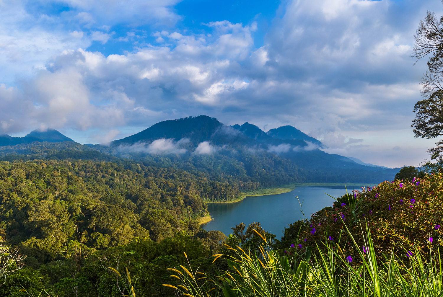 Arrival & Departures