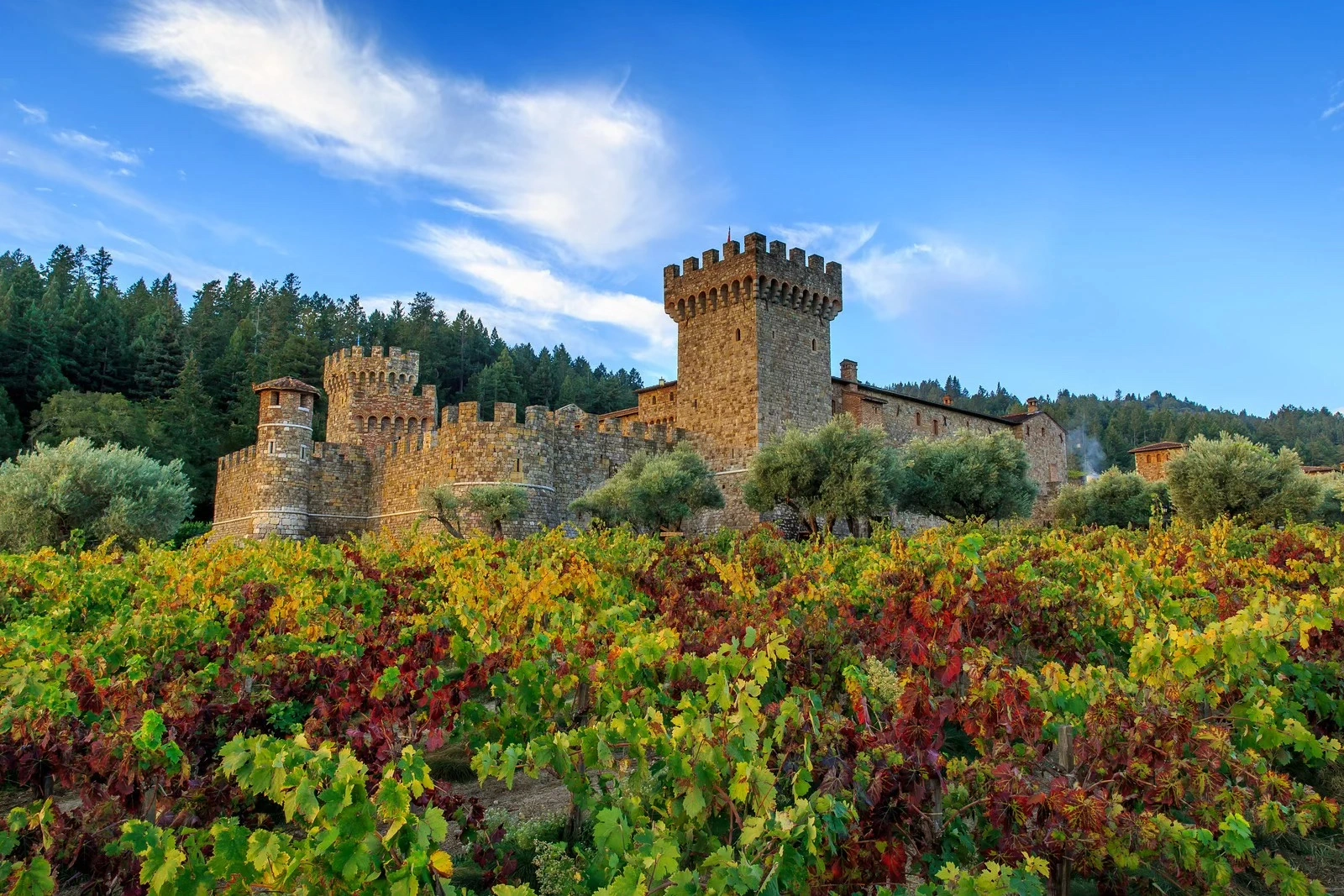 Culinary and Vinous Exploration