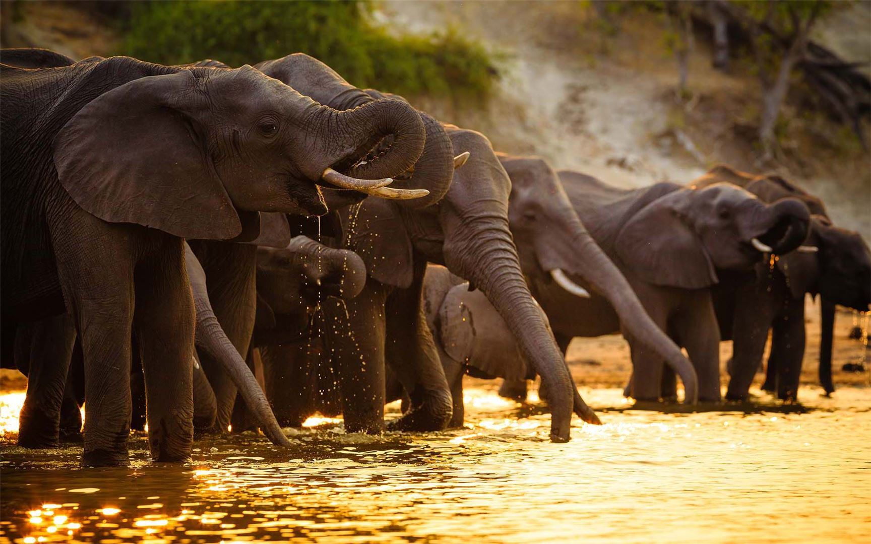 Beyond Your Wildest Dreams