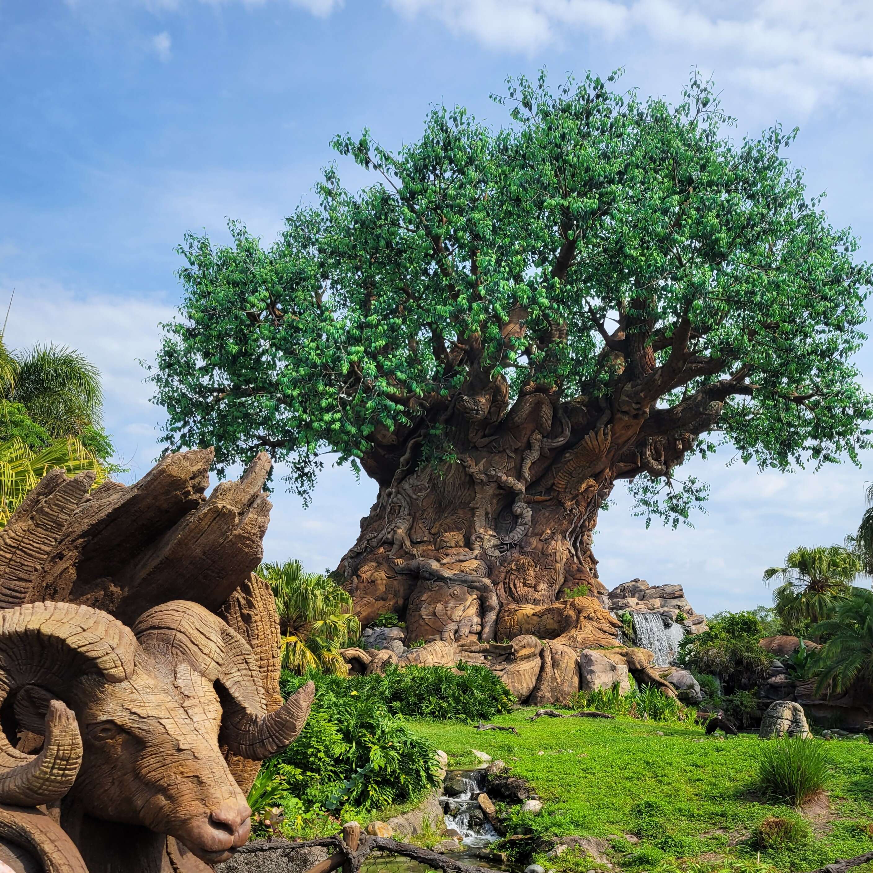 Your Guide to Picking the Perfect Walt Disney World® Resort