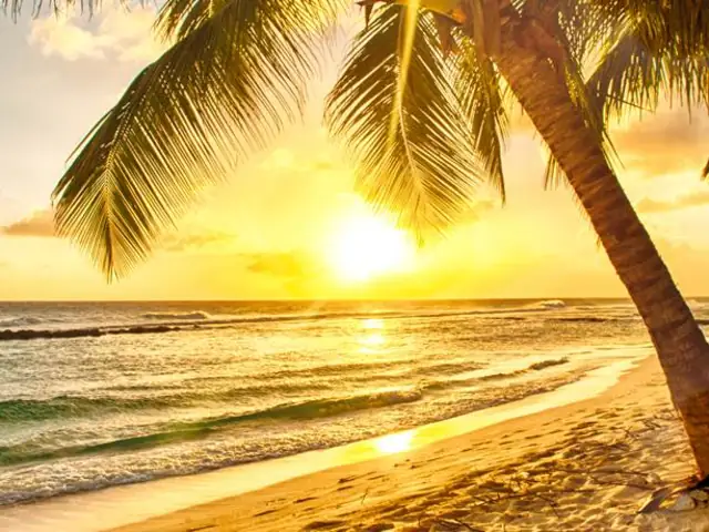 Caribbean