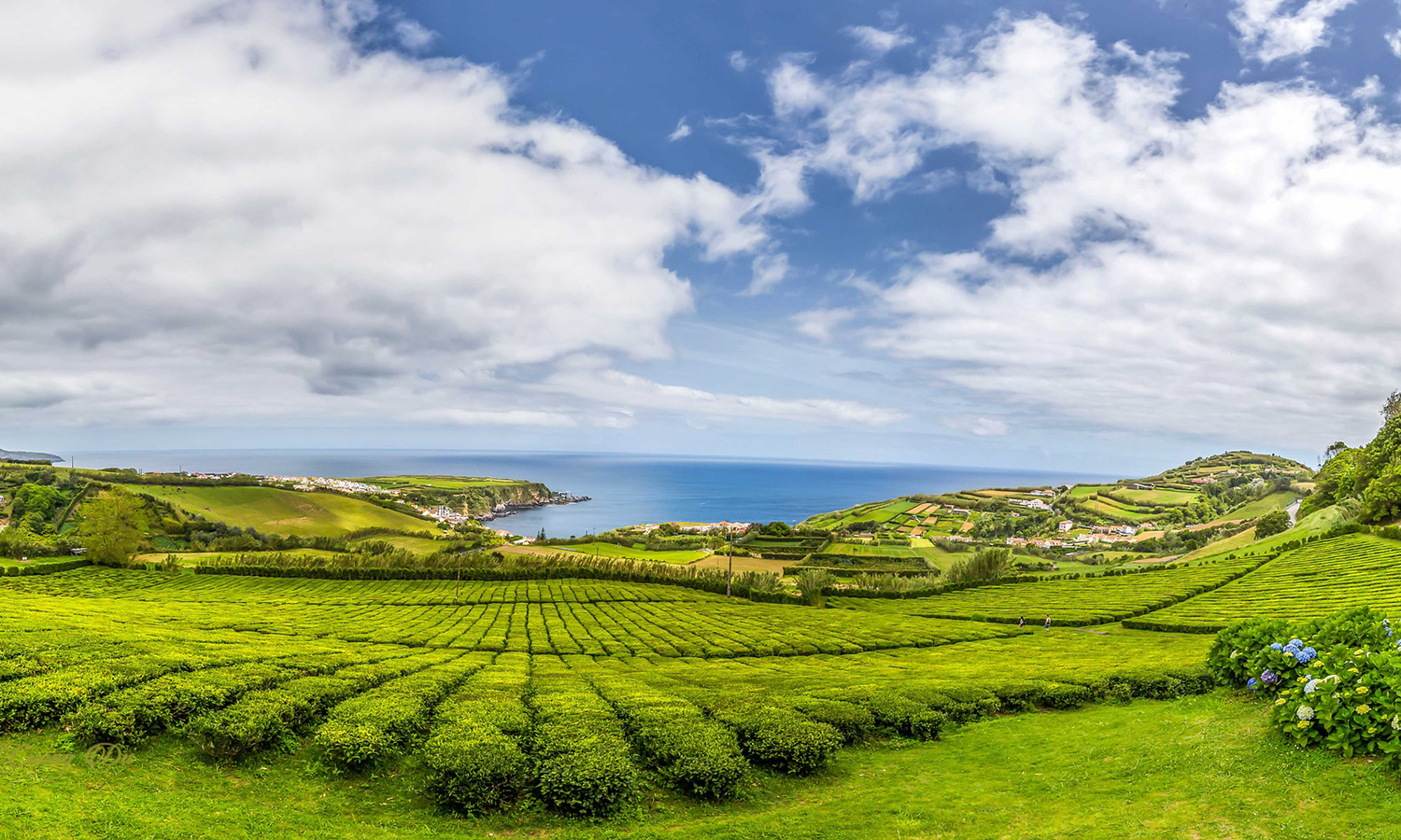 Yoga and Nature in The Azores