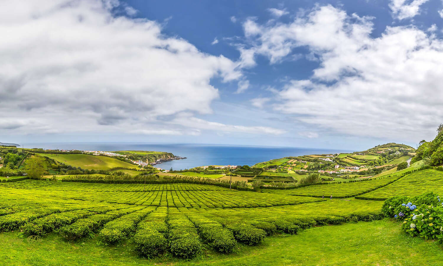 Yoga and Nature in The Azores