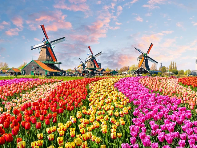 Flower Farming
