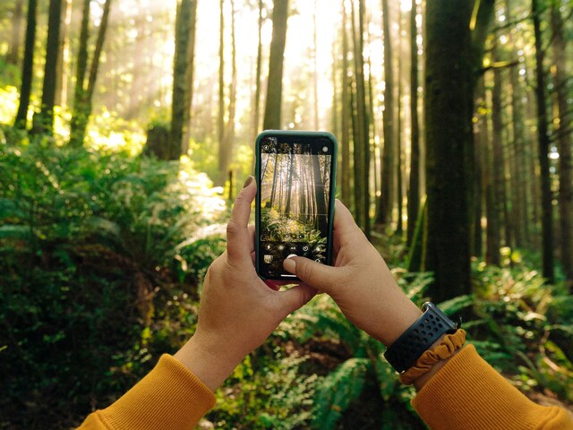 Top 10 best phone apps