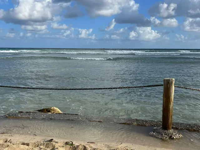 Explore the Beauty of Montego Bay, Jamaica: Adventure, Relaxation, and Unforgettable Experiences