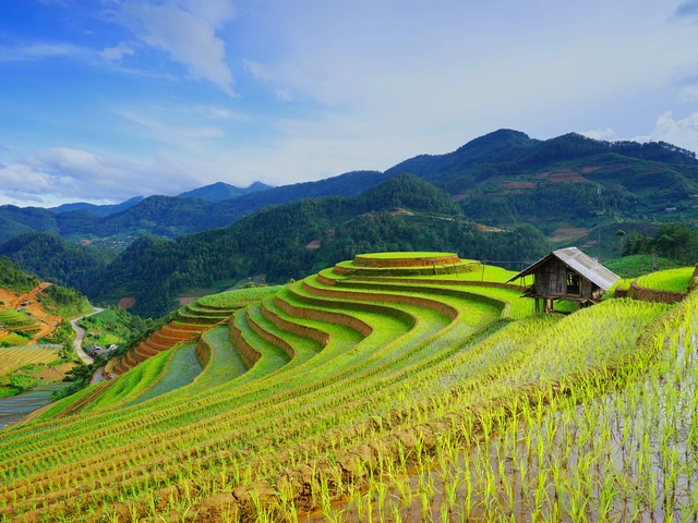 Totally Immersive Vietnam – Explore More, Go Deeper.