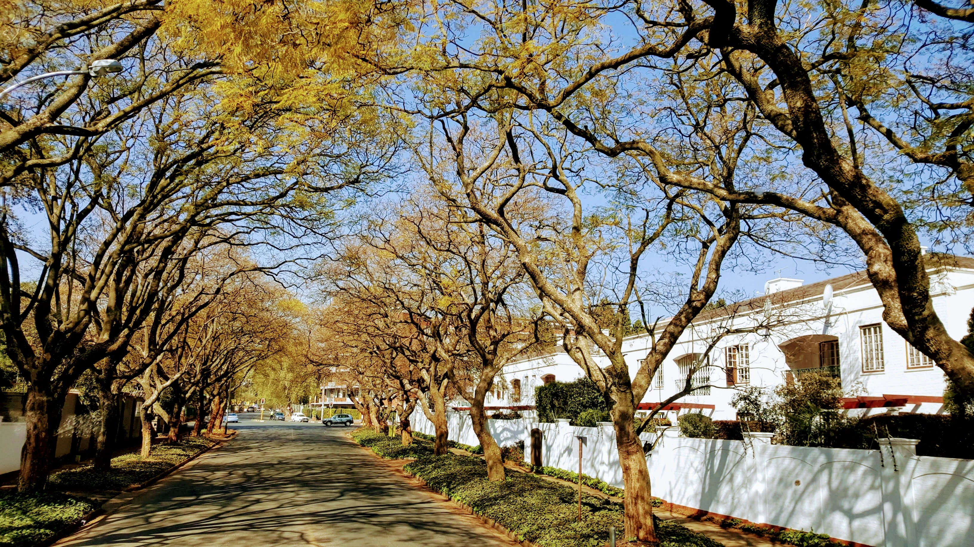 South Africa with Vanora