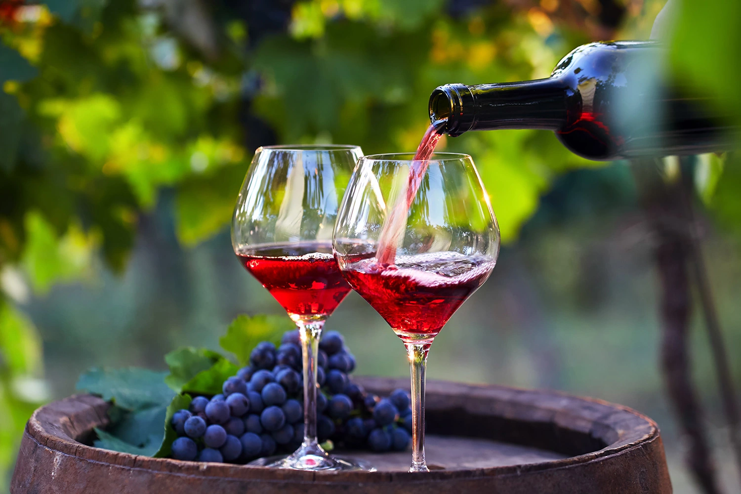 Culinary and Wine Travel