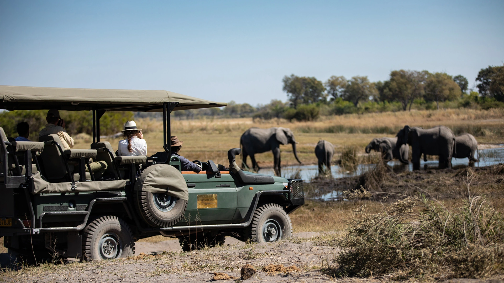 Great-Plains-Selinda-Camp-game-drive-experience.jpg