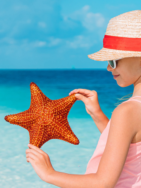 The Beach Is Just The Beginning