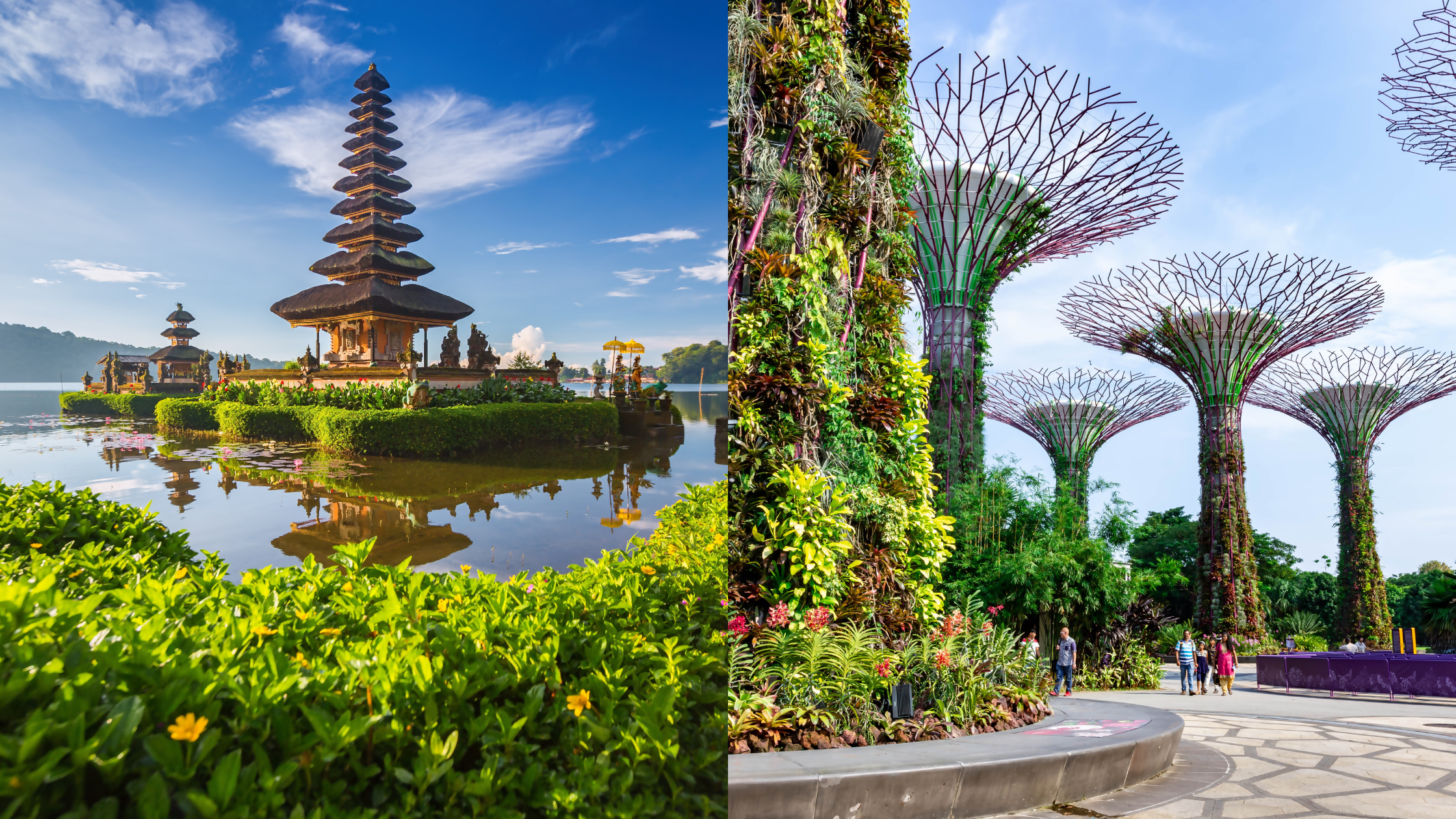 From Bali to Singapore: A Journey of Adventure, Wellness, and Connection
