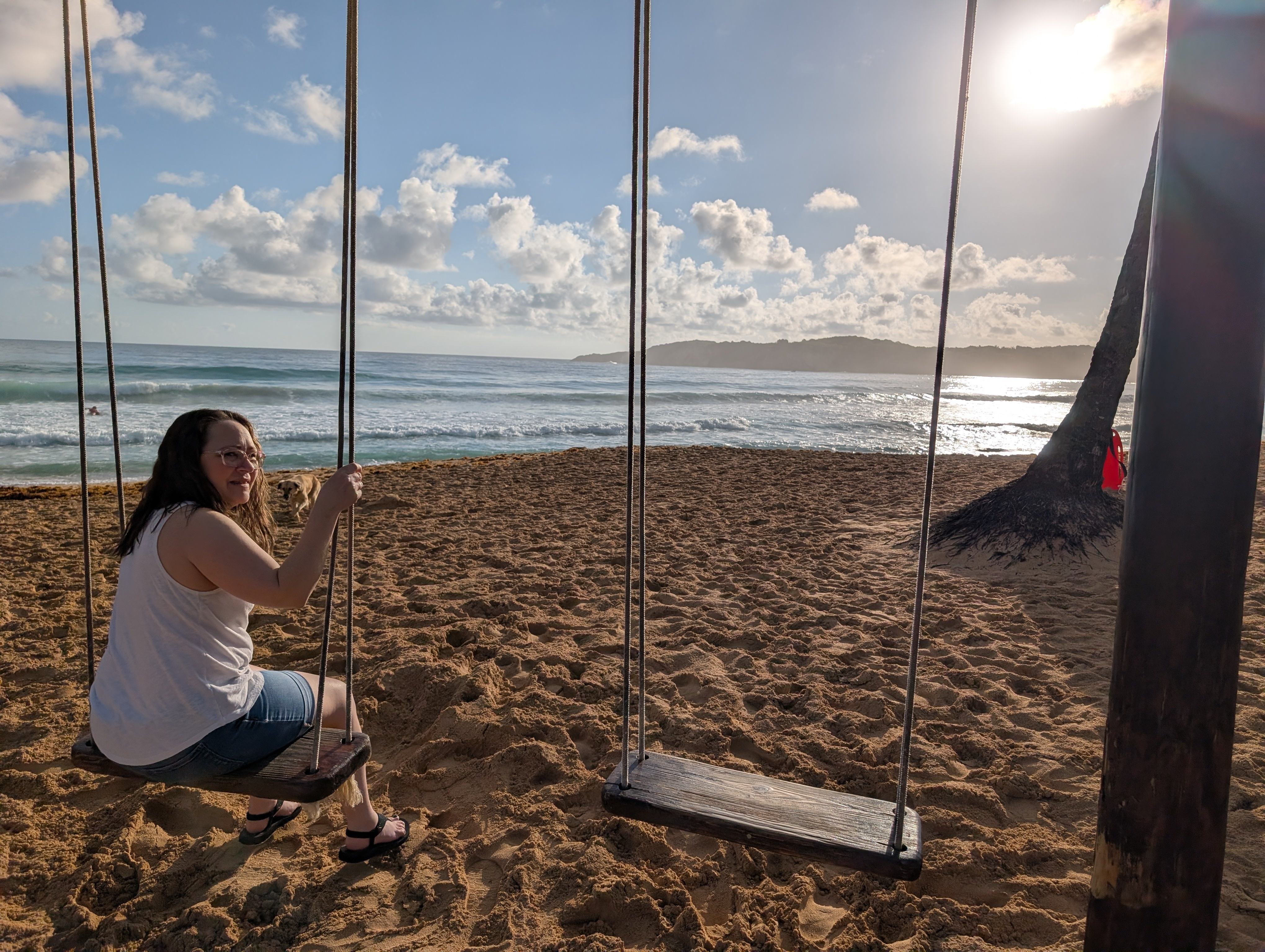 Home Swing