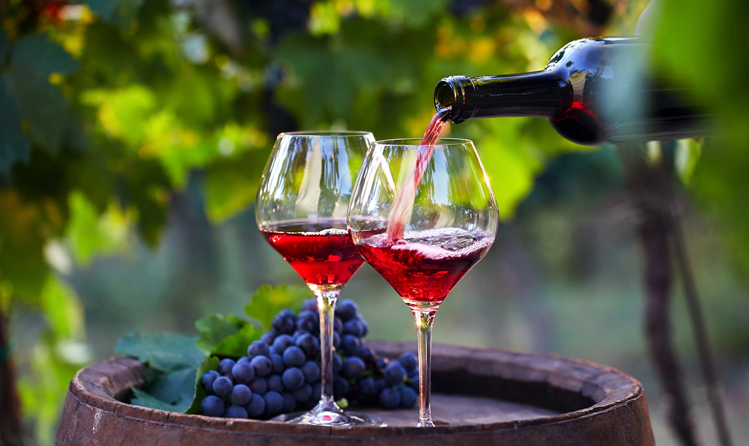 Wine & Dine