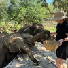 Thailand with Christine