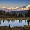 Seabourn Introduces Denali Park Extensions to Alaska Voyages