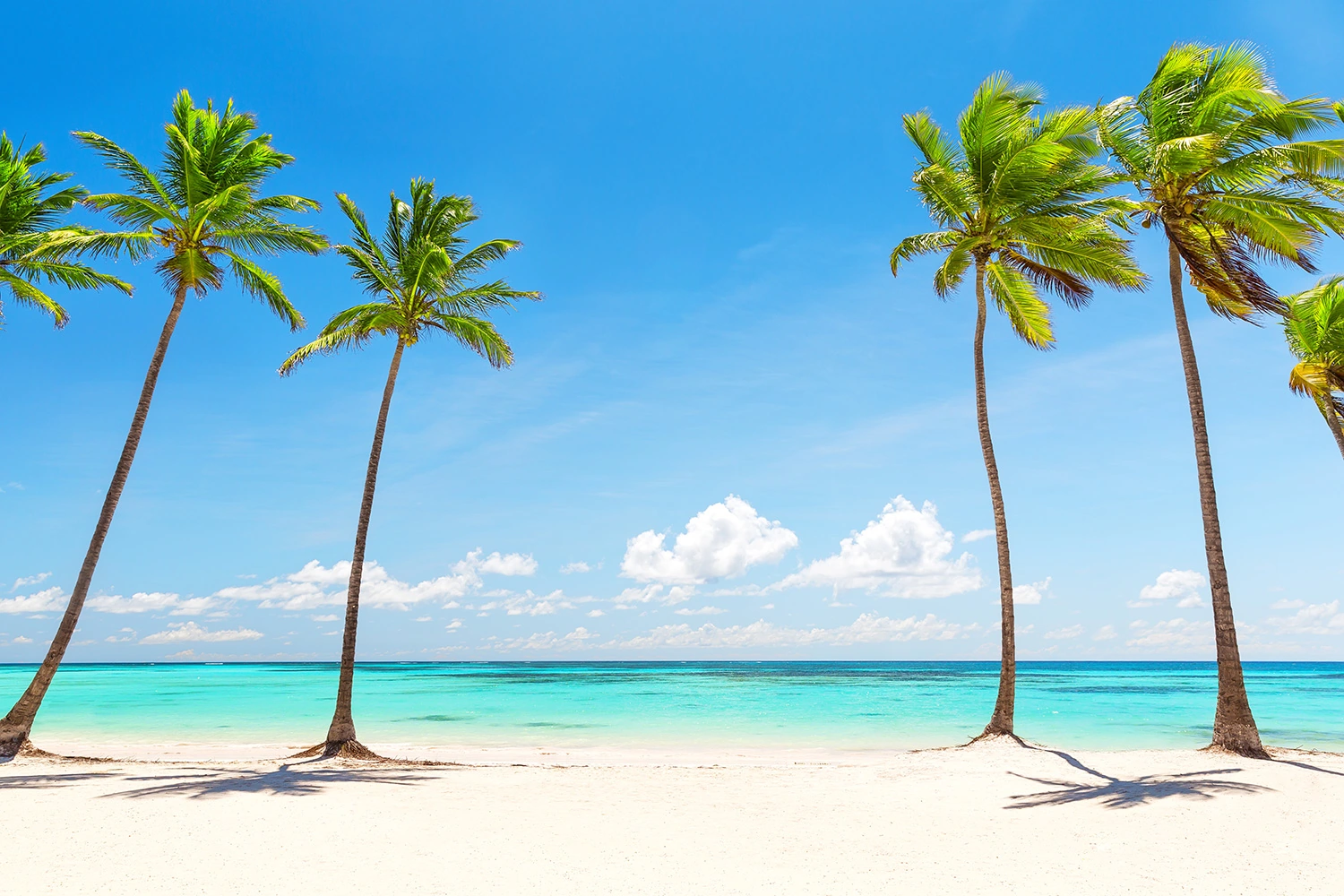 Tropical Beach