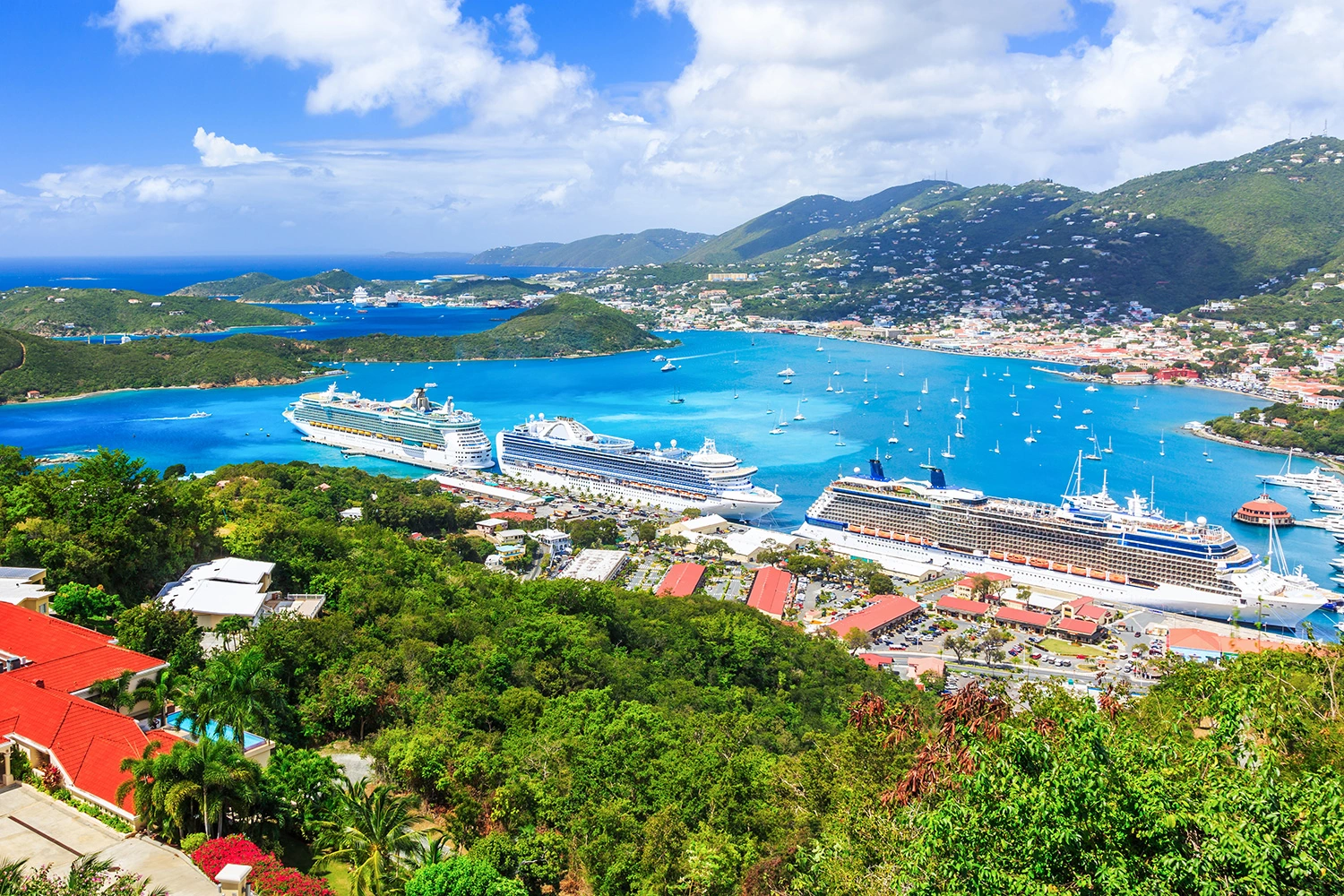 Ocean Cruises