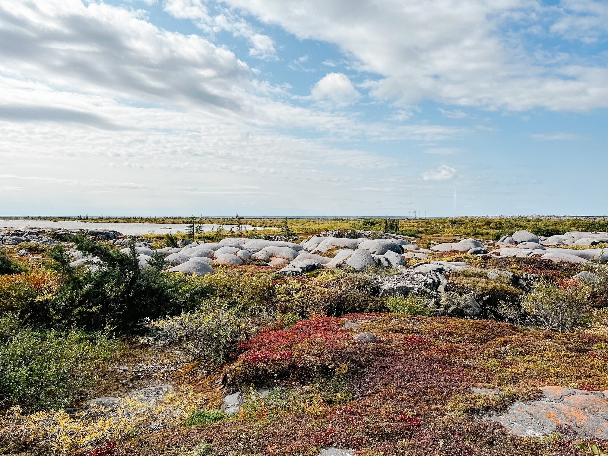 CHURCHILL – POLAR BEARS, WHALES & MORE