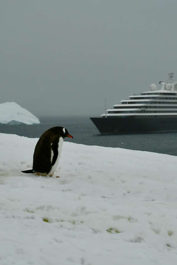 Why an Expedition Cruise Might Be Your Best Adventure Yet