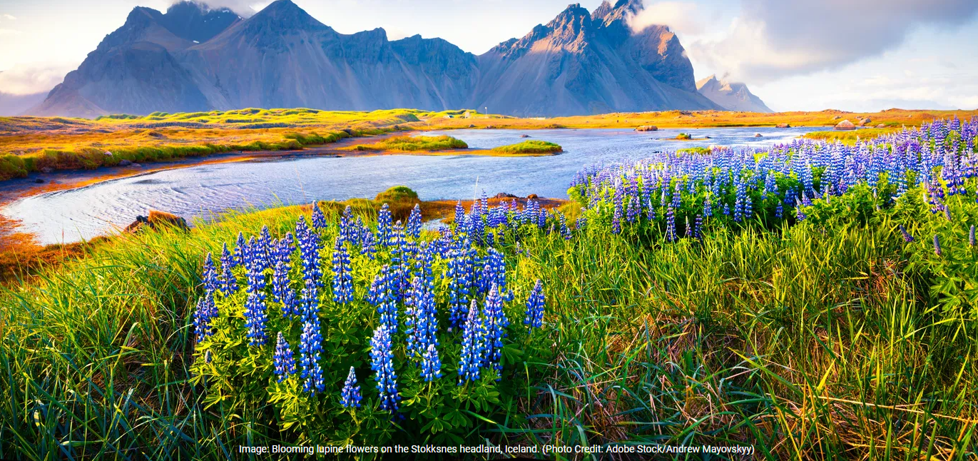 Les endroits les plus sûrs pour voyager en 2025 / The Safest Places to T