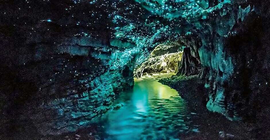 Waitomo Caves Adventure and Relaxation
